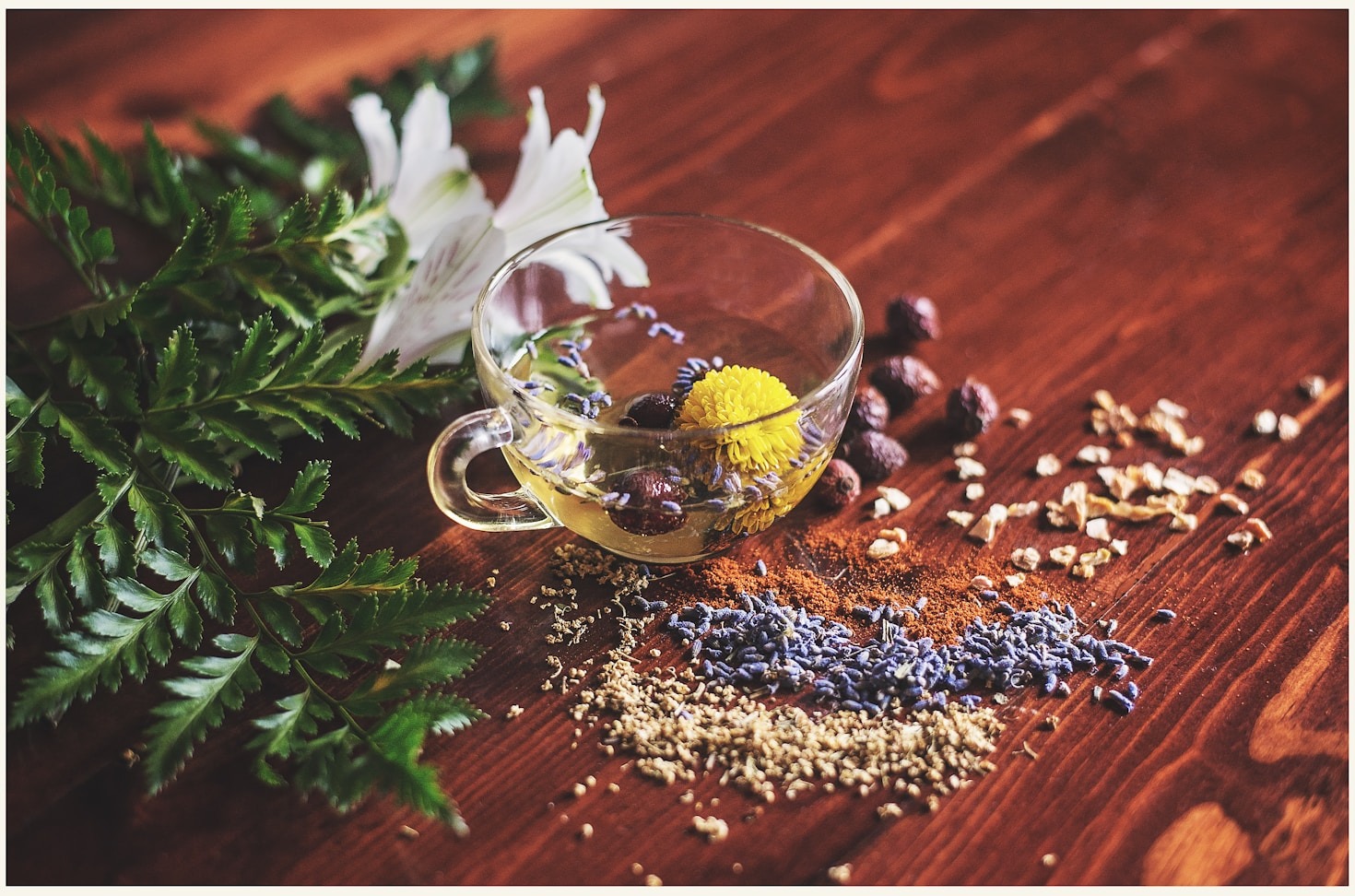 Top 5 Holistic Practices for Everyday Wellness